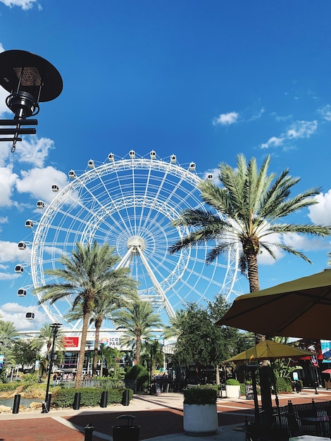 Dubai events - The Biggest Sporting Events in the UAE in 2026: Your Complete Guide